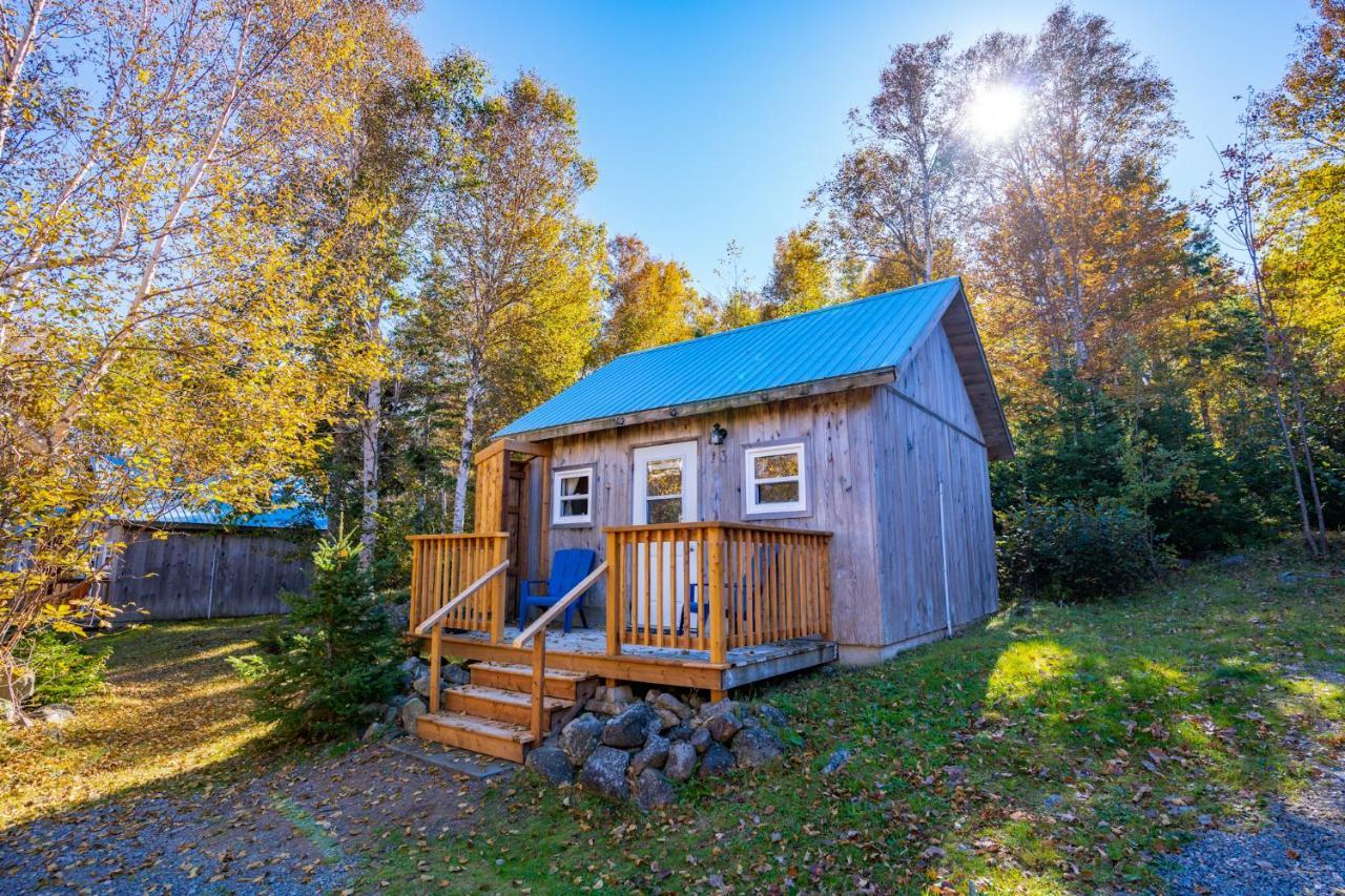 Shoreline Adventure Center&Cottages Birch Plain Exteriör bild