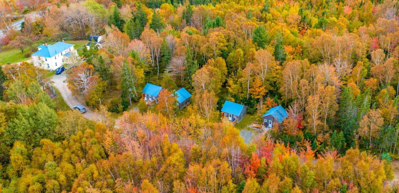 Shoreline Adventure Center&Cottages Birch Plain Exteriör bild