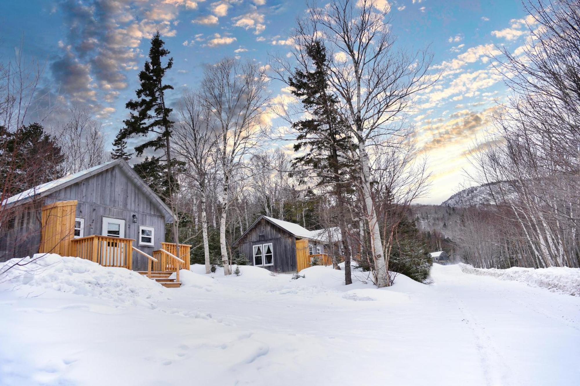 Shoreline Adventure Center&Cottages Birch Plain Exteriör bild